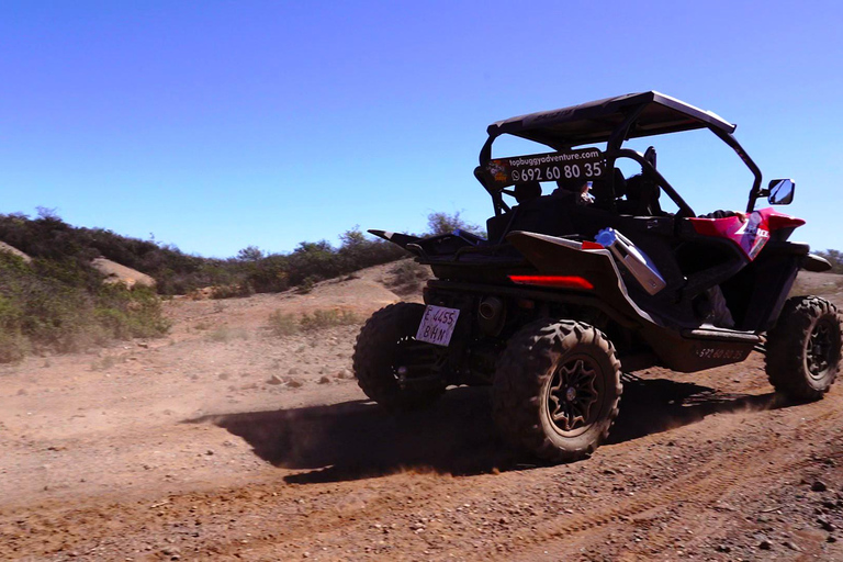 Tour en buggy côtier aller-retour à TenerifeTour côtier en buggy