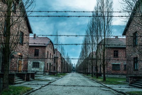 Cracovia: Auschwitz-Birkenau con pranzo e prelievo opzionali