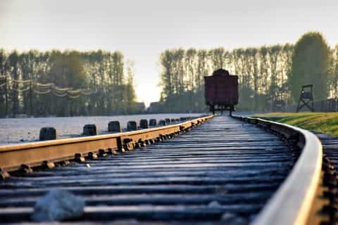 Krakow: Auschwitz-Birkenau Tour with Pickup & Lunch Option
