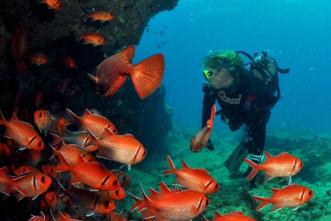 Santa Maria: Discover Scuba Diving