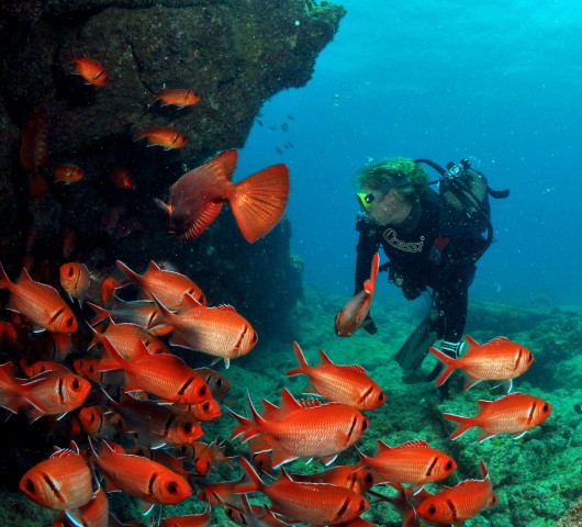Visit Santa Maria Discover Scuba Diving in Espargos