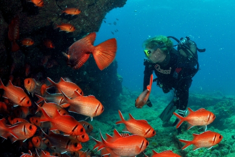 Santa Maria : découvrez la plongée sous-marine