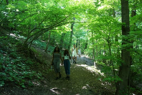 Budapest: Hiking Tour in the Buda Hills