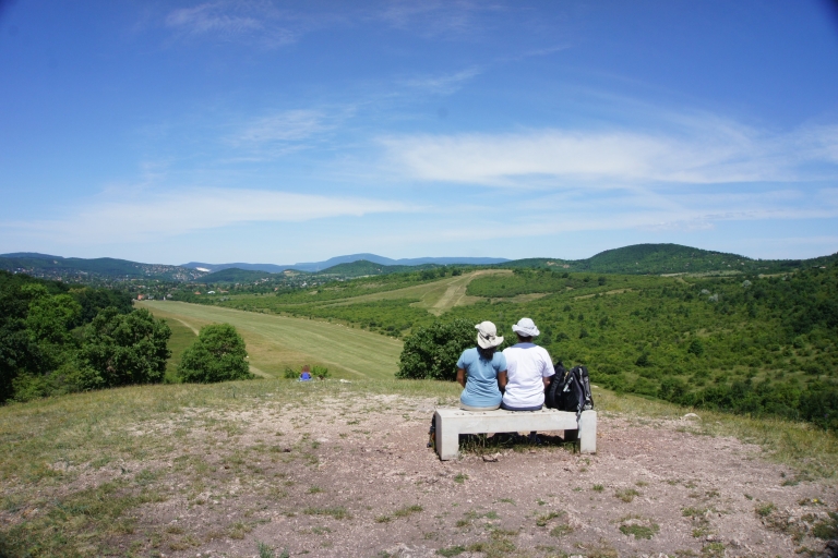 Budapeszt: półdniowa wycieczka piesza po wzgórzach Budy