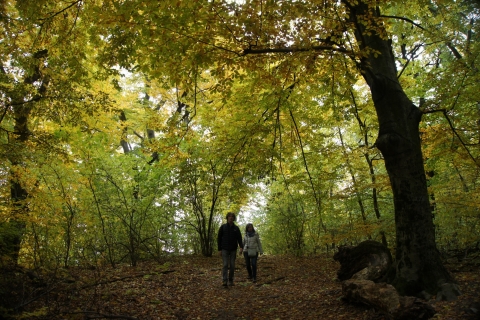 Budapest: Half-Day Hiking Tour in the Buda Hills Budapest: Full-Day Hiking Tour in the Buda Hills with Lunch