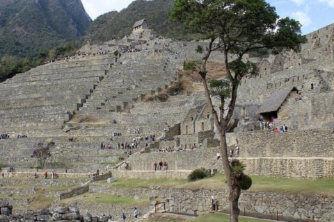 6-Day Tour from Lima: Cusco, Machu Picchu, & Sacred Valley Standard Class Hotels