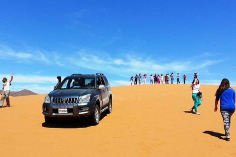 Agadir: Sous Massa Park Safari, Desert Jeep Tour, and Lunch Agadir: Sous Massa Park Safari, Desert Jeep Tour, and Lunch