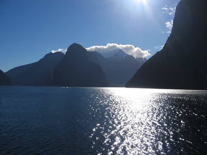 Milford Sound Premium Day Tour and Cruise from Te Anau | GetYourGuide