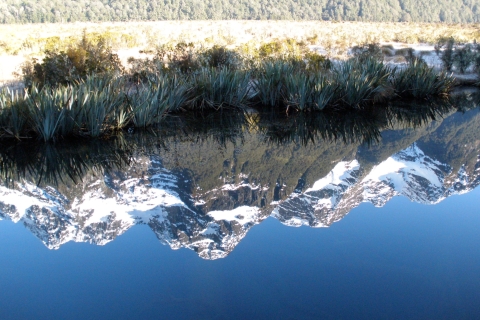 Z Te Anau: rejs przyrodniczy Milford Sound