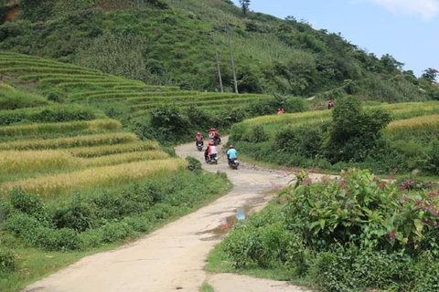 Van Hanoi: Ha Giang begeleide driedaagse trip