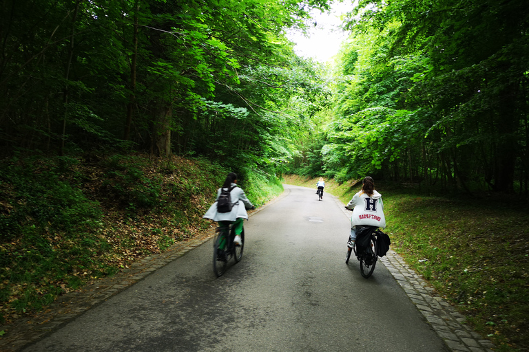 Paris: Schloss Versailles &amp; Königin Hamlet E-Bike TourParis - Schloss Versailles E-Bike Tour