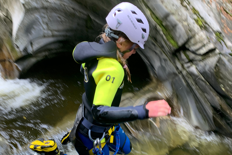 بيتلوكري: جولة عائلية في الوادي سيرًا على الأقداممضيق العائلة يمشي في بيرثشاير