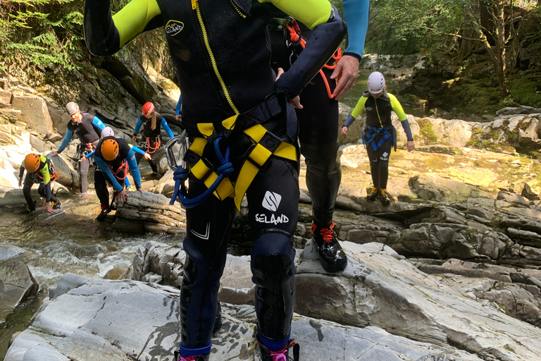 بيتلوكري: جولة عائلية في الوادي سيرًا على الأقداممضيق العائلة يمشي في بيرثشاير