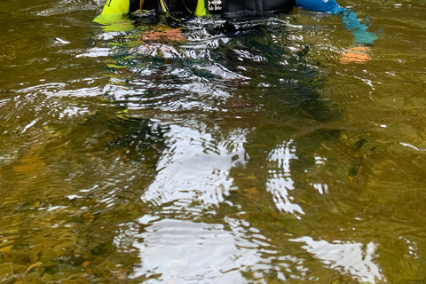 بيتلوكري: جولة عائلية في الوادي سيرًا على الأقداممضيق العائلة يمشي في بيرثشاير