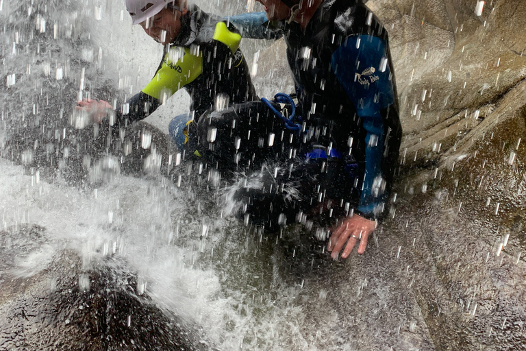 بيتلوكري: جولة عائلية في الوادي سيرًا على الأقداممضيق العائلة يمشي في بيرثشاير