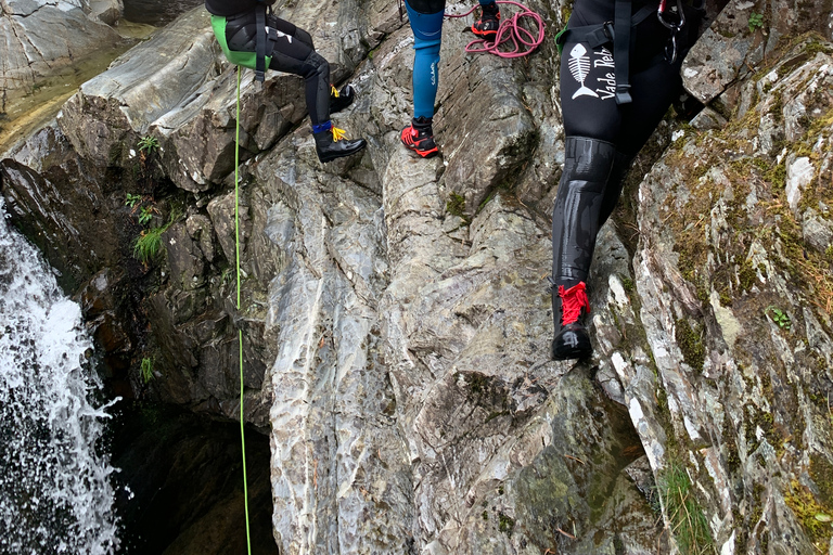 بيتلوكري: جولة عائلية في الوادي سيرًا على الأقداممضيق العائلة يمشي في بيرثشاير