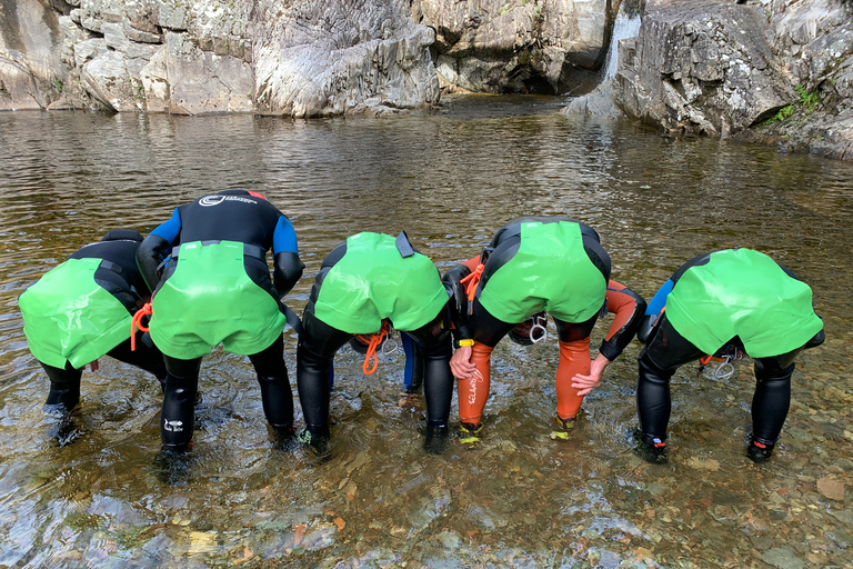 بيتلوكري: جولة عائلية في الوادي سيرًا على الأقداممضيق العائلة يمشي في بيرثشاير