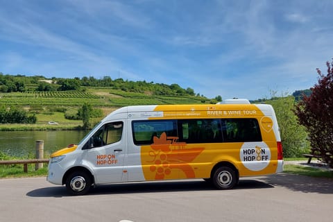 Luxembourg: River & Wine Tour with Tasting