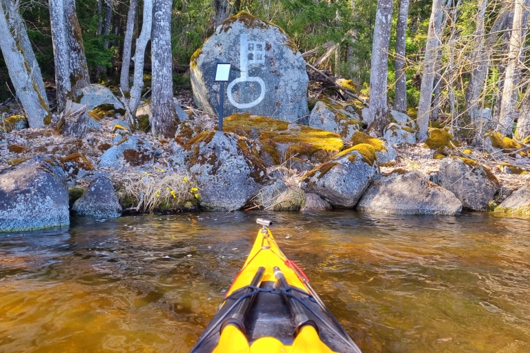 Sigtuna: visite en kayak des sites historiques du lac Mälaren avec déjeuner
