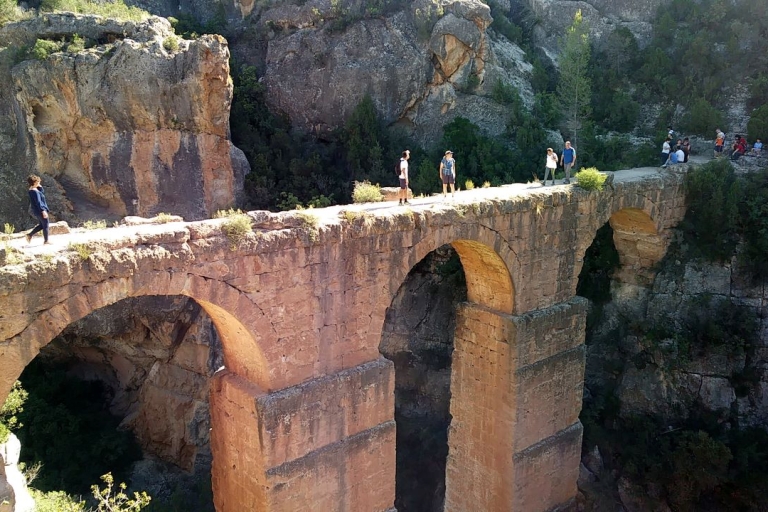 From Valencia: Peña Cortada Aqueduct Private Hiking Day Tour