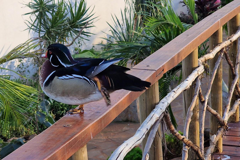 Bird Island sweet west tour