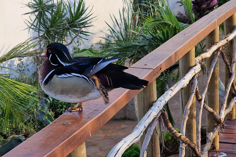 Bird Island sweet west tour
