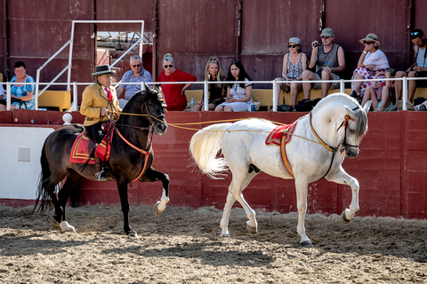 Fuengirola: Spanish Horse Show, Dinner and/or Flamenco Show Horse Show - No Pickup