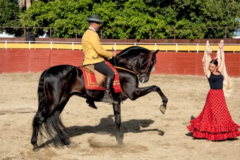 Fuengirola: Spaanse paardenshow met optioneel diner/Flamenco