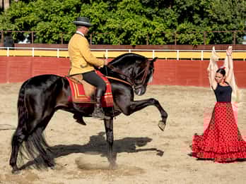 Fuengirola: Spanish Horse Show with Optional Dinner/Flamenco