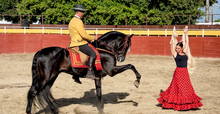 Fuengirola: Spanish Horse Show with Optional Dinner/Flamenco