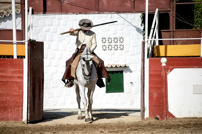 Fuengirola: Spaanse paardenshow met optioneel diner/FlamencoFlamencoshow