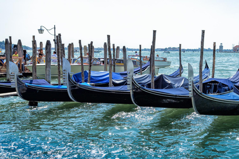 From Umag: Venice Boat Trip with Day or One-Way Option From Venice: One-Way Ticket to Umag