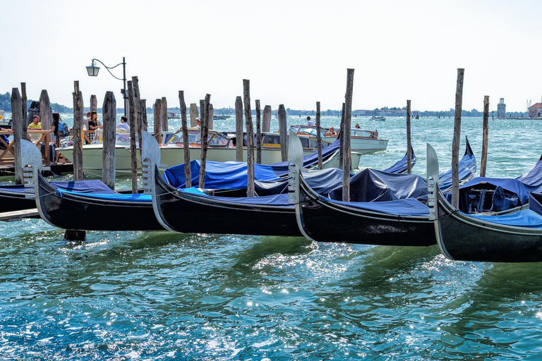 From Umag: Venice Boat Trip with Day or One-Way Option From Venice: One-Way Ticket to Umag