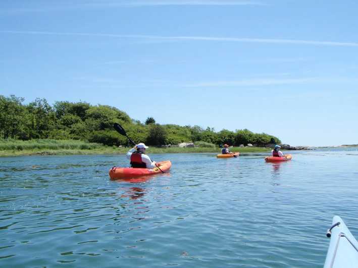 Kennebunkport: Cape Porpoise Half-Day Kayak/SUP Rental