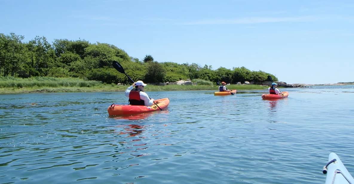 Kennebunkport Cape Porpoise HalfDay Kayak/SUP Rental GetYourGuide