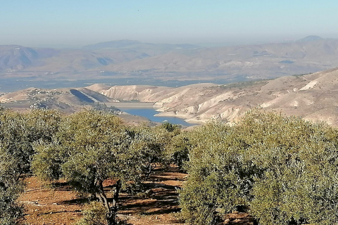 Nord-ouest de la Jordanie : voyage historique, culturel et spirituel.