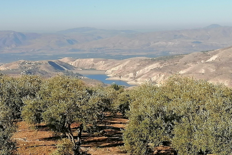 Nord-ouest de la Jordanie : voyage historique, culturel et spirituel.