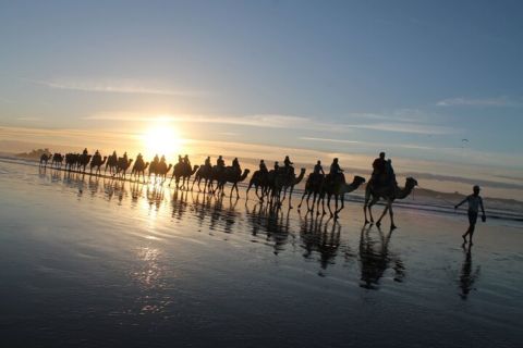 Essaouira: tour guidato in quad e giro in cammello