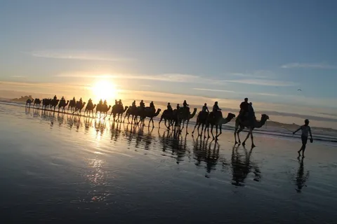 Essaouira: 2 Hours Quad Bike Tour and 1 Hour Camel