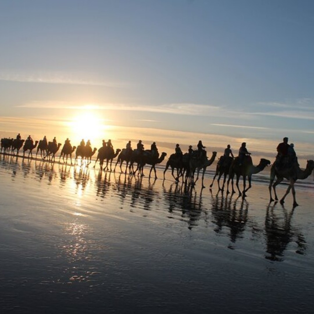 Essaouira P14 : 2 heures de quad et 1 heure de chameau - quad