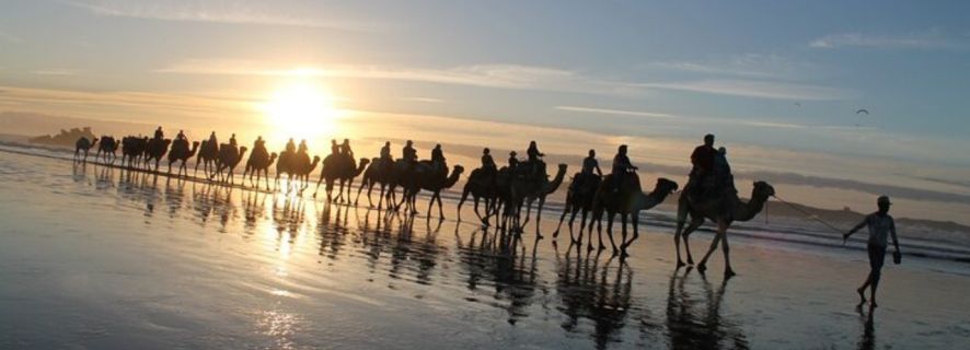 Essaouira: tour guiado en quad y paseo en camello