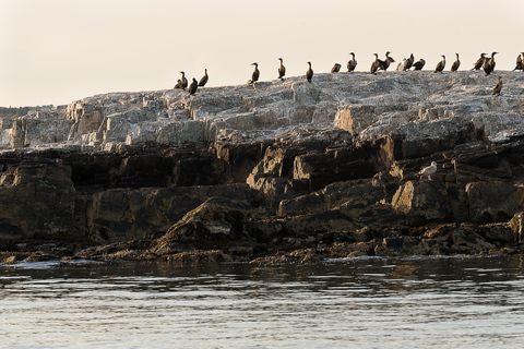 Portland: Sunset Lighthouse Cruise in Casco Bay with Drinks