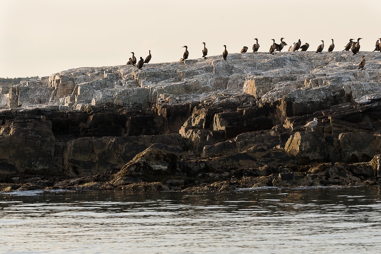 Portland: Sunset Lighthouse Cruise in Casco Bay with Drinks