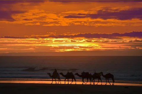 Essaouira : 1 Hour Quad Bike Tour and 1 Hour Dromedary Ride