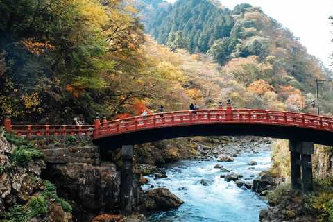 Tokyo: Nikko Kegon Falls Lake Chuzenji Toshogu Temple & More From Tokyo: Nikko Unesco Customised Private Tour In Prado