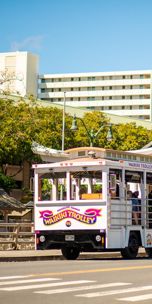 Oahu: Waikiki Trolley Hop-on Hop-off All-Line Pass | GetYourGuide