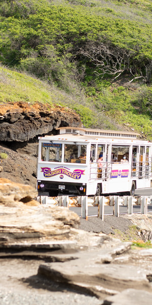 Oahu: Waikiki Trolley Hop-on Hop-off All-Line Pass | GetYourGuide