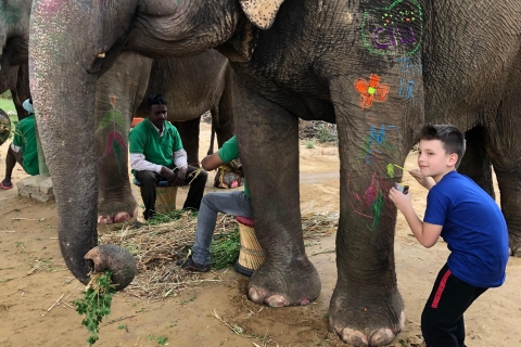 Wycieczka po mieście Jaipur z interakcją ze słoniemWycieczka z prywatnym samochodem i przewodnikiem z interakcją na słoniu