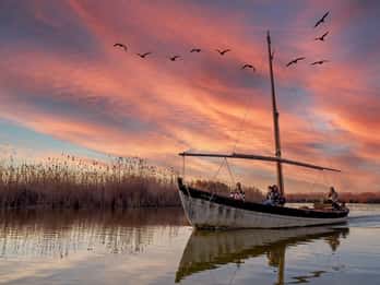From Valencia: Cullera Old Town and Albufera Natural Park
