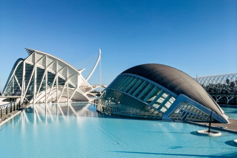 From Alicante: Valencia Full-Day Guided Tour Private Tour